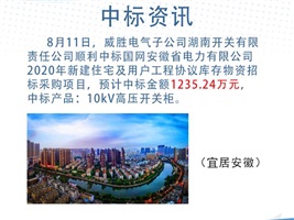 威勝電氣順利中標(biāo)國(guó)網(wǎng)安徽物資招標(biāo)采購(gòu)項(xiàng)目